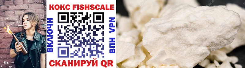 где можно купить наркотик  Новороссийск  дарк нет какой сайт  КОКАИН FishScale 