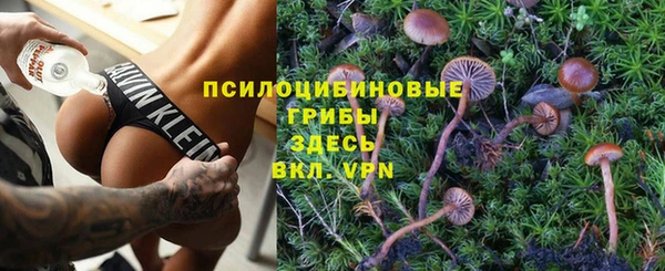 прущая мука Алексин
