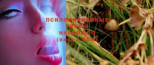 ПСИЛОЦИБИНОВЫЕ ГРИБЫ Алзамай