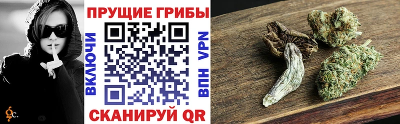 Псилоцибиновые грибы прущие грибы Новороссийск