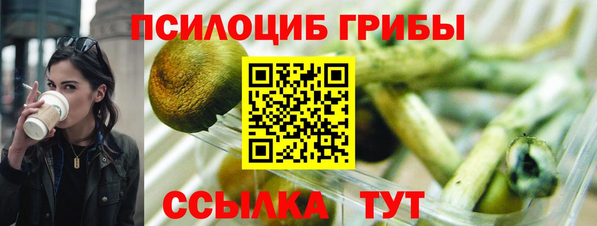 сколько стоит  Вход с VPN  Новороссийск  Галлюциногенные грибы прущие грибы  Псилоцибиновые грибы мицелий 