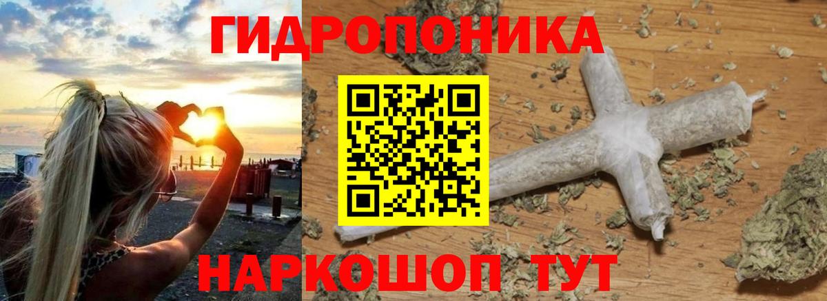 Конопля марихуана Новороссийск